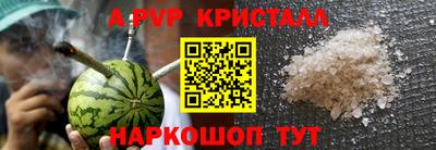 PSILOCYBIN Гусев